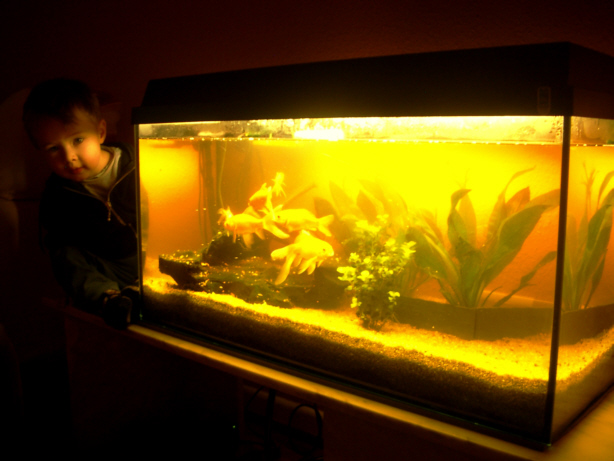 Glen mit Fischen (v.l.n.r.) Glen mit Fischen (v.l.n.r.)