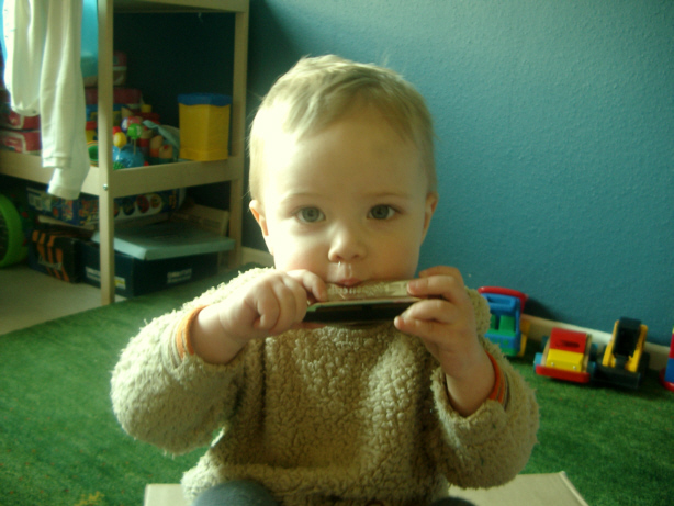 Glen im Schafspelz: Carpark Blues